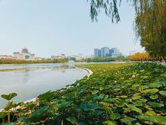 -莲花池公园