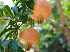 -西安华清御汤酒店