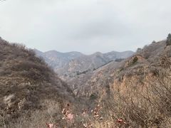 -仙居谷风景区