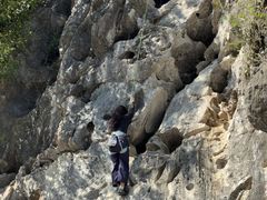 -银峰农庄·特色烧鸡·鲜无花果浸鸡