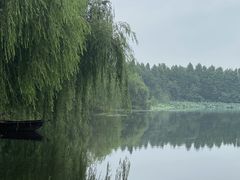 -溱湖国家湿地公园