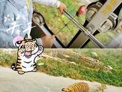 -西安秦岭野生动物园