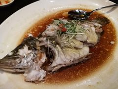 清蒸鲈鱼-长春凯悦酒店-品悦中餐厅