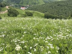 -灵山