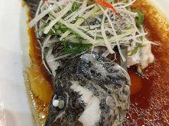 清蒸花斑鱼-桃园一品(南庄店)