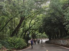 -潜山国家森林公园
