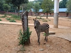 -石家庄市动物园