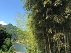 -商丘古城-应天书院