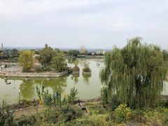 -长安文化生态公园