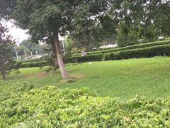 -永旺梦乐城国际商城(北清路店)