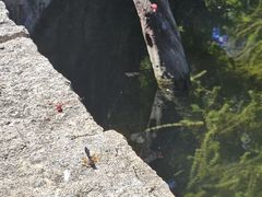 -韶山毛泽东同志故居