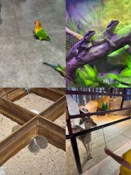 -酷嗒动物文化乐园(cutezoo西溪乐天城店)