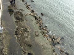 -黄金海岸环岛路