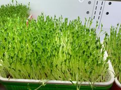 -番食园鲜食火锅(高新店)