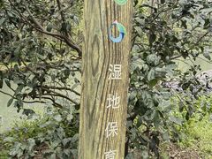 -同里国家湿地公园