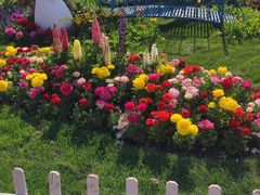 -上海共青森林公园