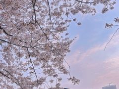 -龙美术馆(西岸馆)