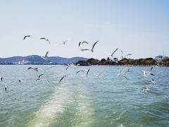 -无锡蠡湖国家湿地公园-蠡园
