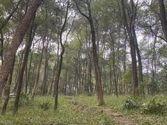 -南山植物园