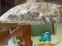 -武汉大学-樱园