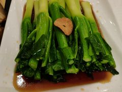 白灼芥蓝-金时代顺风大酒店(协泰店)