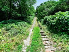 -苏州上方山国家森林公园