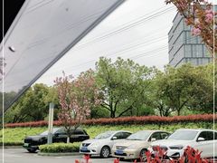 -九科绿洲