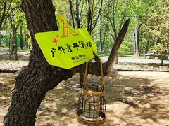 -沈阳鸟岛