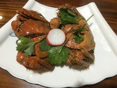 -呼吸森林·生态农庄农家乐私房菜