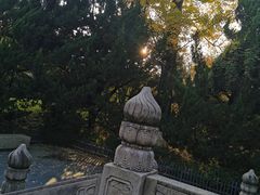 -苏州文庙(姑苏区)