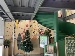 -绿壁虎攀岩基地(Tcar店)