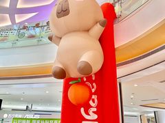 -深圳龙华星河COCO City(民治店)
