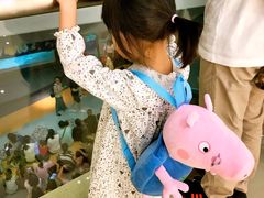 -绍兴梦享海洋公园