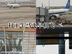 -浦东1号2号航站楼(地铁站)
