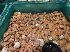 -初色海鲜自助(万丰路店)