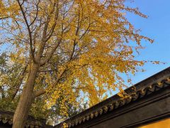 -西园戒幢律寺