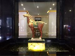 iphone_upload_pic-茂名熹龙国际大酒店(人民广场高铁站店)