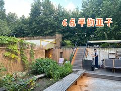 -毛辣果·酸(OHA复兴西路店)