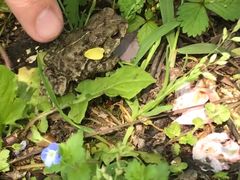 -艾溪湖湿地公园