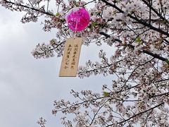 -堤角公园