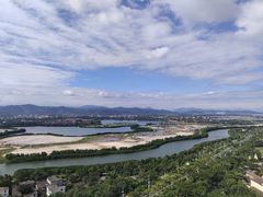 -瑰丽酒店·海吧·天际下午茶·现场DJ·天台酒吧