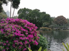-晓港公园