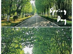 -大渡口区义渡公园