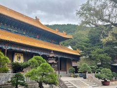 -普陀山风景名胜区-法雨禅寺