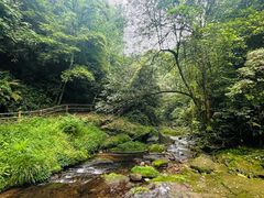 -碧峰峡风景区