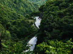 -秦岭风景区