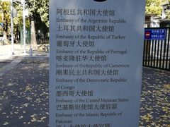 -三里屯东五街银杏大道