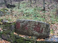 -牛背梁国家森林公园