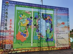 -上海都市菜园