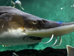 -太平洋海底世界